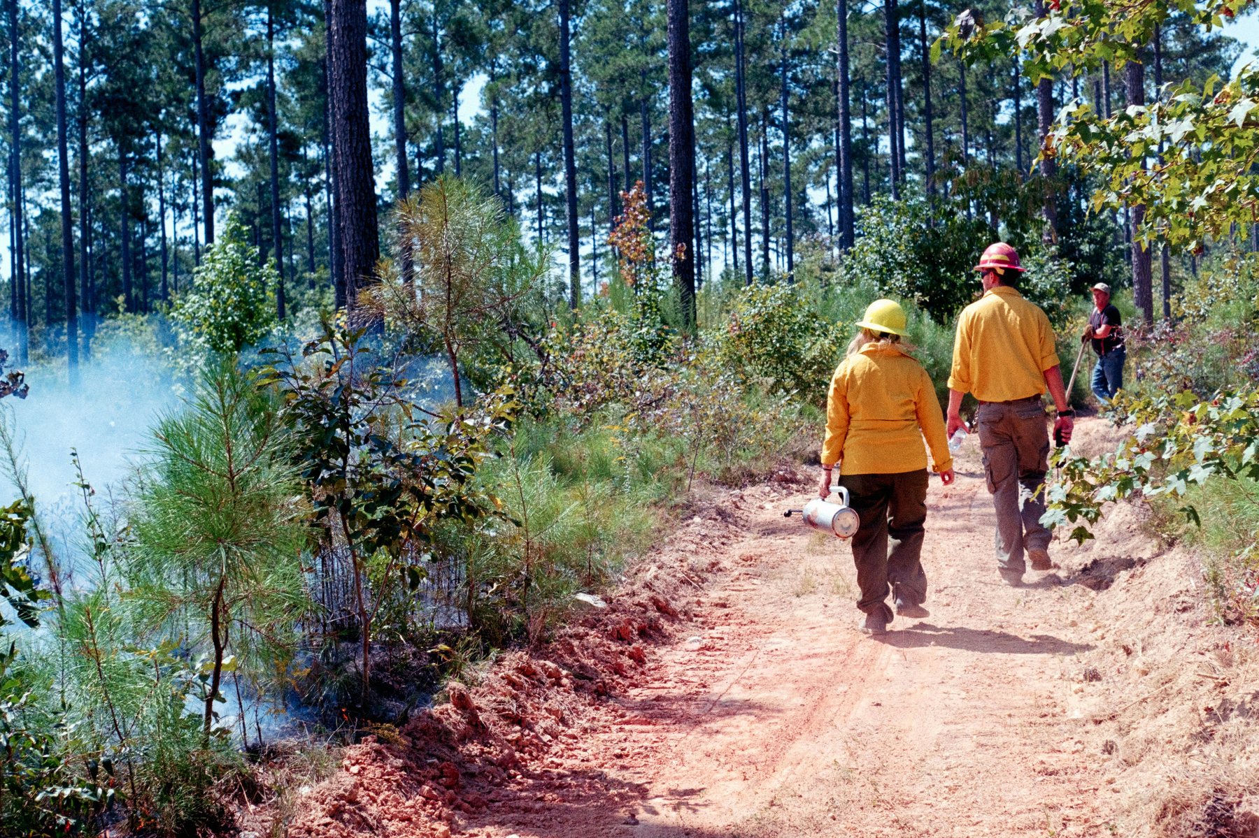 Wildland fire personnel conducting hazard mitigation work